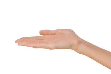 Isolated Empty open woman female hand in a position on a white background
