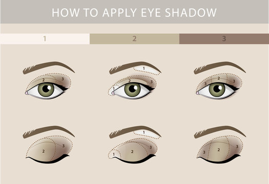 Eye makeup template vector