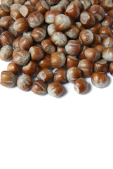 A pile of whole hazelnuts isolated on a white background to form a page header