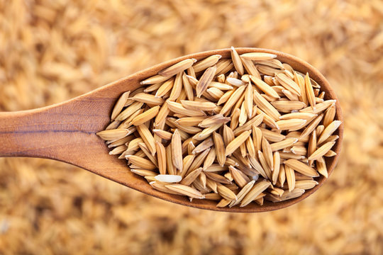 food background. Unmilled rice grain in a wooden spoon and forming a background.  top view