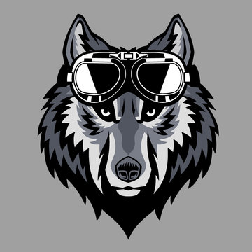 wolf head wearing a goggle