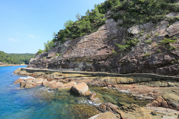 高知県土佐清水市　見残し海岸　波の花道