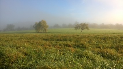 Obraz premium Autumn morning