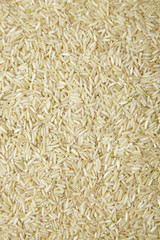 A full page of dry rice background texture
