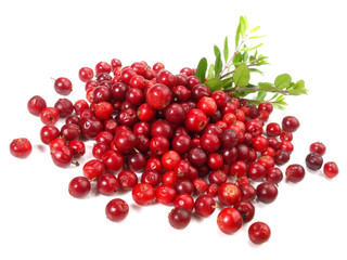 Preiselbeeren