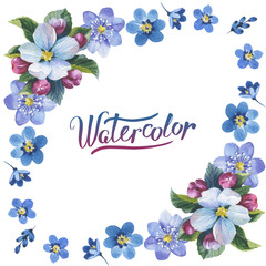 Wildflower myosotis flower frame in a watercolor style isolated. Full name of the plant: forgetmenot, myosotis. Aquarelle flower could be used for background, texture, pattern, frame or border.