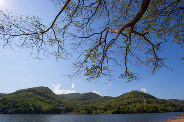 View at mountain range with fog, forest and fir trees on the forground