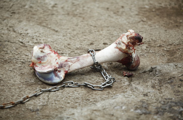 The bone put in chains