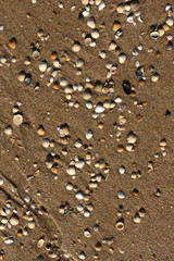 photo of sand background