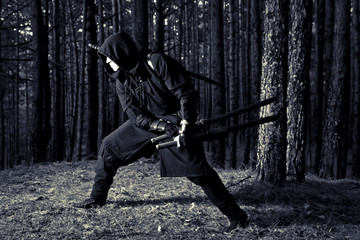 assassin in the deep forest
