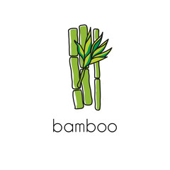 Stems of bamboo. Icon. Handmade drawing. Vector image in the style of Doodle.