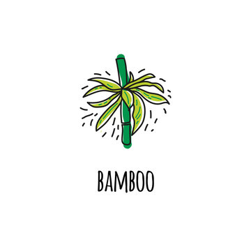 Bamboo. Icon . Full color image.Vector image in the style of Doodle.