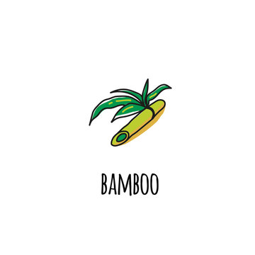 Branch of bamboo. Icon. Handmade drawing. Vector image in the style of Doodle.