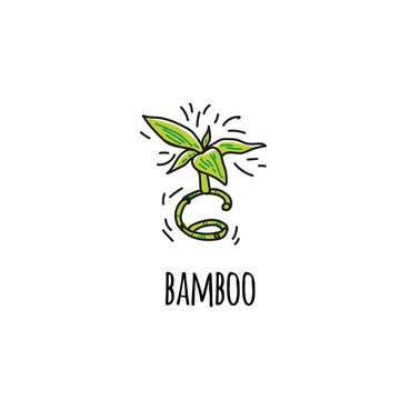 Bamboo sprout. Icon. Hand-drawn. Vector image in the style of Doodle.
