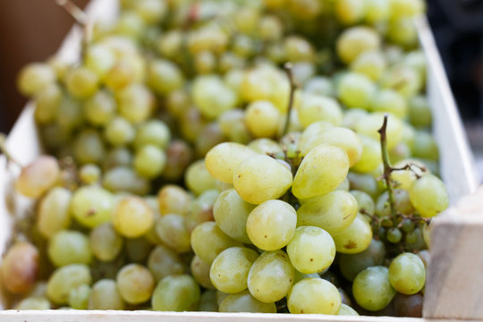 White grapes at the market.