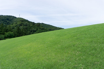 芝生の丘と空