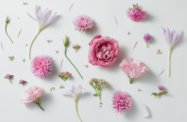 background of roses