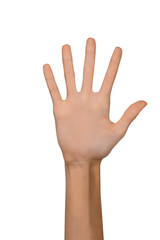 Fototapeta premium Isolated Empty open woman female hand in a position of number Five on a white background