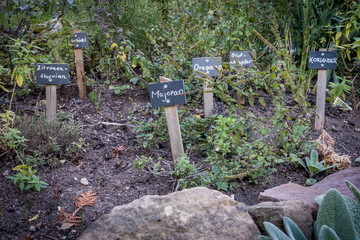 Kräutergarten im Herbst