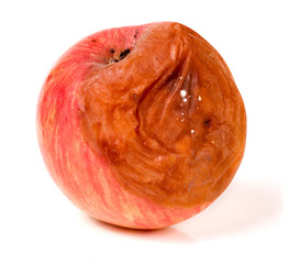 rotten apple isolated on a white background
