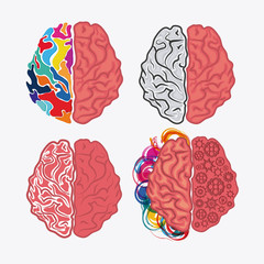 Brain icon. Creative teamwork and big idea theme. Colorful and isolated design. Vector illustration