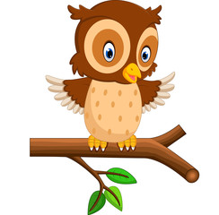 cute owl cartoon