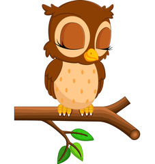 cute owl cartoon