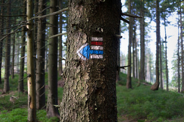 Trail marking in Czech Republic / Czechia. Painted mark for tourist, hikers and trekkers. It helps to navigate walker during hiking, method of navigation on touristic routes and paths in nature