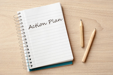 action plan