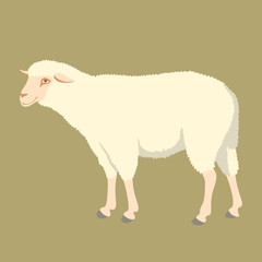 sheep vector illustration style Flat
