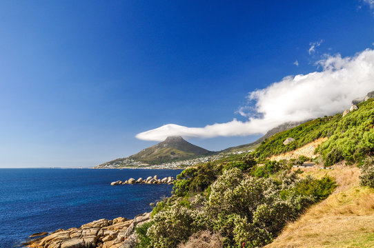 Stunning view of Lion's Head a cone shaped mountain in Cape Town, with a lenticularis cloud covering the top. You can also see Camps Bay and Clifton. Cape Town, Western Cape province, South Africa.
