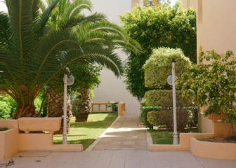 park with plants, with palm trees
