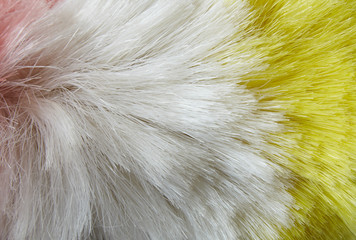 A full page close up of feather duster background texture