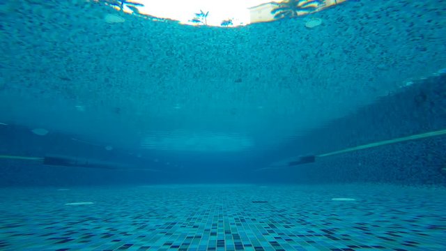 Low angle view from the bottom of a swmming pool.