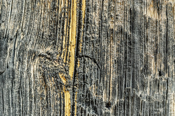 texture of old wood with knot of a door in the Albarracin town in the province of Teruel, Aragon, Spain