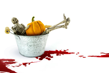 skeleton and pumkin in bucket