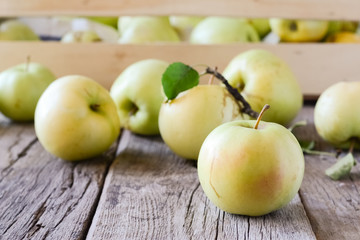 Green apples