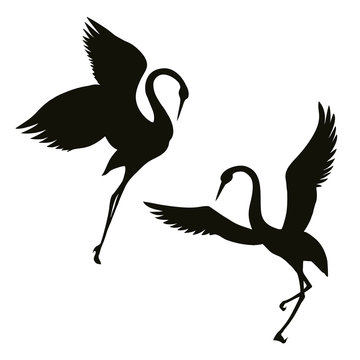 Vector image. Dancing crane