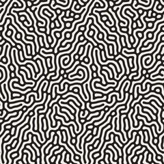 Vector Seamless Black and White Organic Lines Pattern