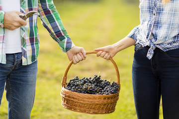 Couple in vineyard