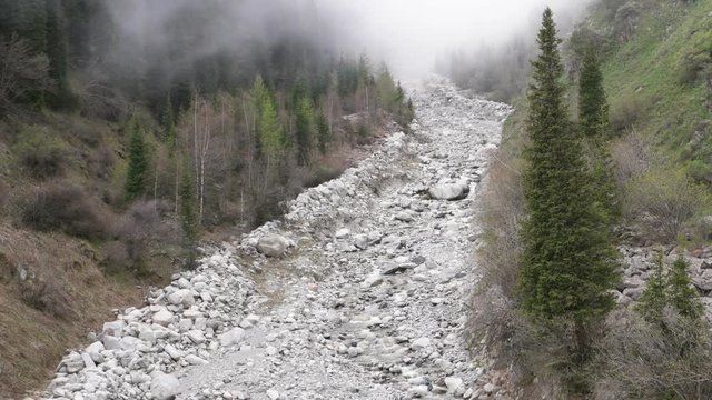 Mountain riverbed in summer. Ala Archa, Kyrgyzstan.