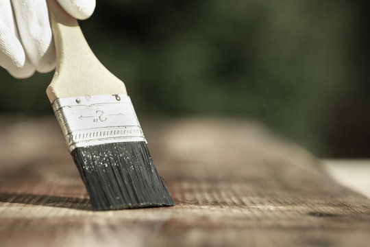 Paintbrush sliding over wooden surface, protecting wood