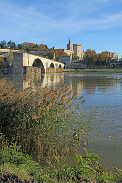 Pont d'Avignon et Palais des Papes