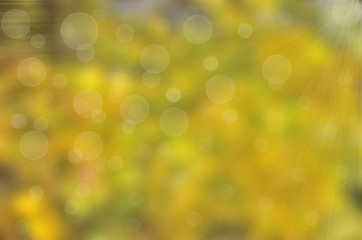 Sunny abstract defocused background with bokeh