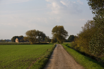 Wirtschaftsweg