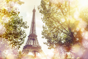 View on Eiffel tower through green summer trees with sunset rays. Beautiful Romantic background....