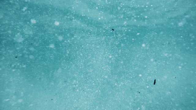 A slow motion abstract underwater in the ocean.