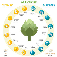 Infographics about nutrients in artichoke