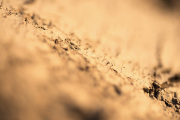 Ground Texture Close Up, Selective Focus and Shallow Depth of Field. Abstract Nature Background.