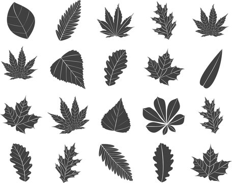 Icons of leaves.Vector illustration